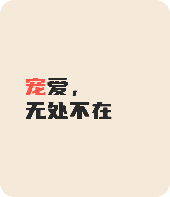 科派德宠物，无处不在