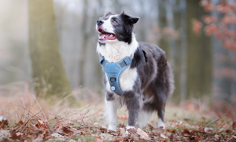 想进行竞争分析吗？以下是你应该做的7个理由