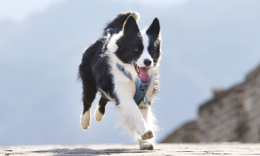 什么是网站策略？为什么你需要它以及你如何做到